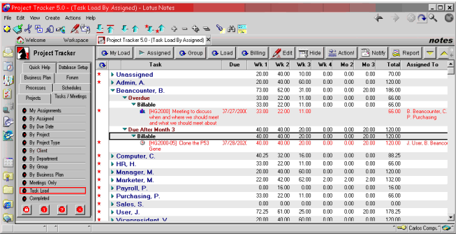 Lotus Notes Software - Project Tracker - Task Loads