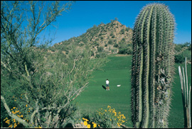Golfing in Tucson - Photo courtesy of the Metropolitan Tucson Convention & Visitors Bureau